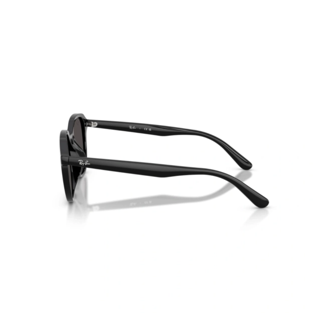 Óculos de Sol Ray-Ban 0RB4459D 901/8754 Propionato Preto com lentes na cor Cinza Escuro 3