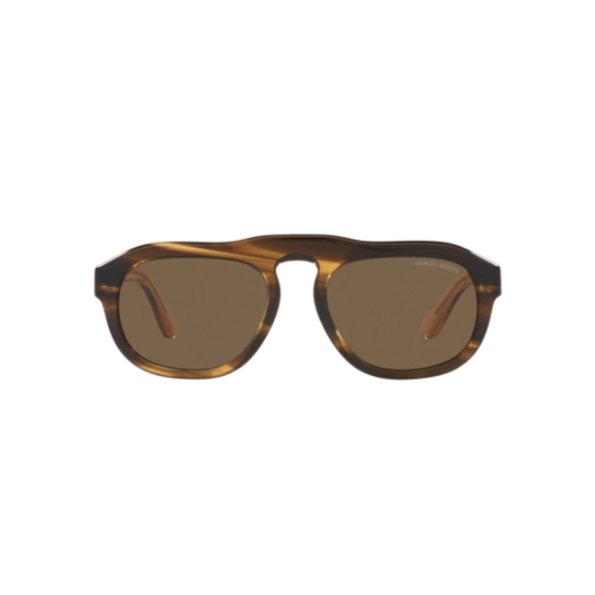 Óculos de Sol Giorgio Armani 0AR8173 59587352 Acetato Marrom Mesclado com lentes na cor Marrom Escuro 2
