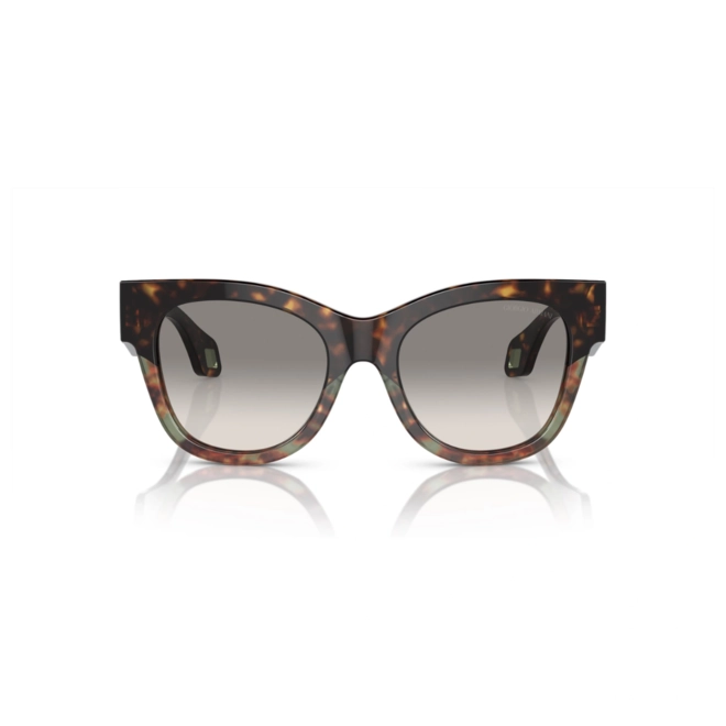 Óculos de Sol Giorgio Armani 0AR8195U 58793251 Acetato Marrom e Verde Mesclado com lentes na cor Cinza Degradê 2