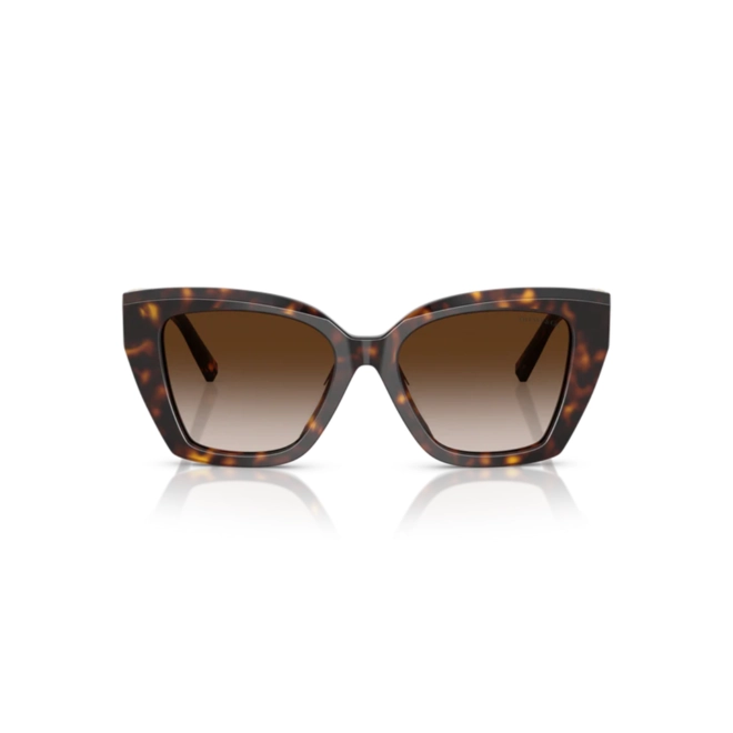 Óculos de Sol Tiffany 0TF4239U 80153B52 Acetato Marrom Mesclado com lentes na cor Marrom Degradê 2