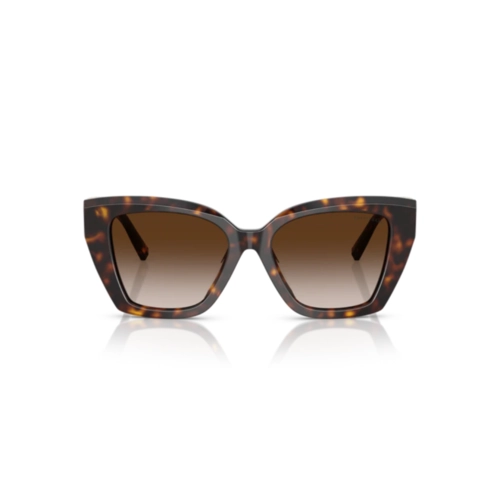 Óculos de Sol Tiffany 0TF4239U 80153B52 Acetato Marrom Mesclado com lentes na cor Marrom Degradê