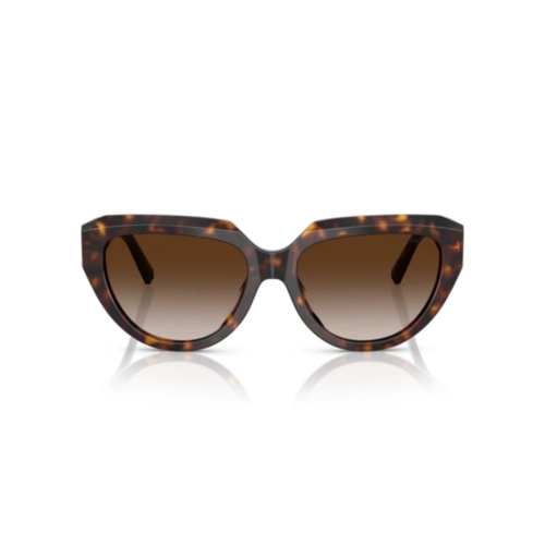 Óculos de Sol Tiffany 0TF4238U 80153B55 Acetato Marrom Mesclado com lentes na cor Marrom Degradê