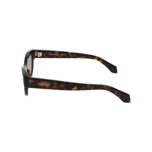 Óculos de Sol Salvatore Ferragamo SF2062SE 242 49 Acetato Marrom Mesclado com lentes na cor Marrom