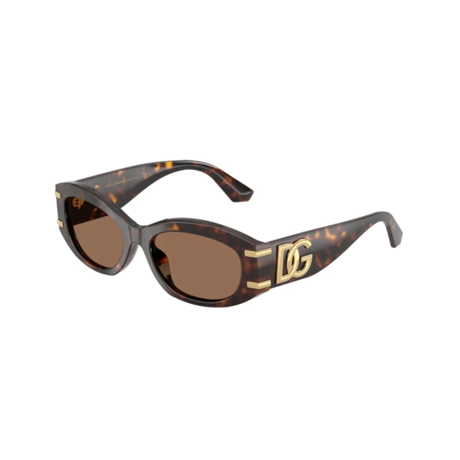 Óculos de Sol Dolce & Gabbana 0DG4502 502/7355 Acetato Marrom Mesclado com lentes na cor Marrom 1