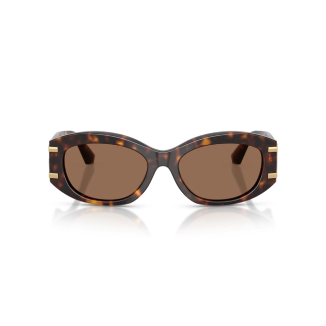 Óculos de Sol Dolce & Gabbana 0DG4502 502/7355 Acetato Marrom Mesclado com lentes na cor Marrom 2