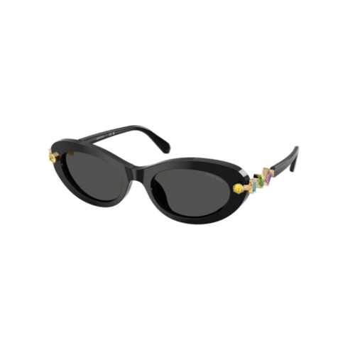 Óculos de Sol Swarovski 0SK6042 10018753 Acetato Preto com lentes na cor Cinza