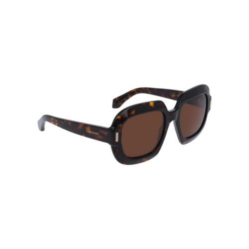 Óculos de Sol Salvatore Ferragamo SF2068SE 242 54 Acetato Marrom Mesclado com lentes na cor Marrom