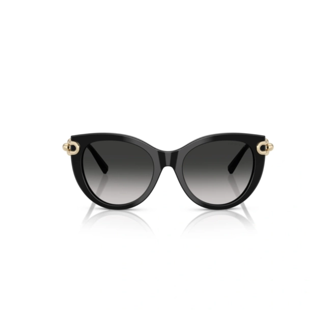 Óculos de Sol Tiffany 0TF4232 80013C53 Acetato Preto com lentes na cor Cinza Degradê 2