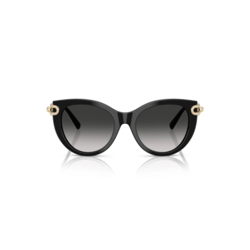 Óculos de Sol Tiffany 0TF4232 80013C53 Acetato Preto com lentes na cor Cinza Degradê