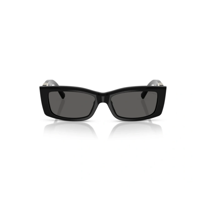 Óculos de Sol Tiffany 0TF4240U 8001S454 Acetato Preto com lentes na cor Cinza 2