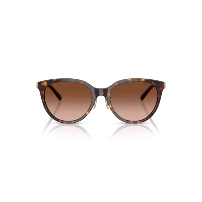Óculos de Sol Tiffany 0TF4243D 80153B55 Acetato Marrom Mesclado com lentes na cor Marrom Degradê 2