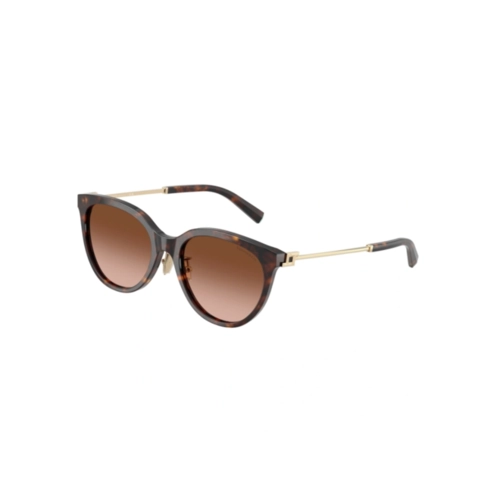 Óculos de Sol Tiffany 0TF4243D 80153B55 Acetato Marrom Mesclado com lentes na cor Marrom Degradê