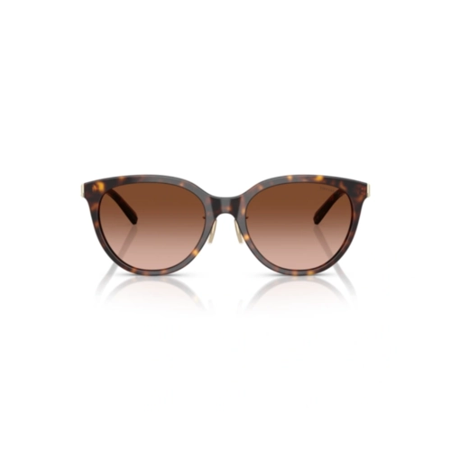 Óculos de Sol Tiffany 0TF4243D 80153B55 Acetato Marrom Mesclado com lentes na cor Marrom Degradê