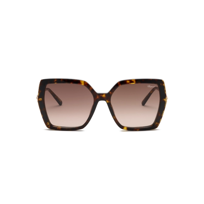 Óculos de Sol Chopard Ice Cube SCH404S 5604BL Metal Marrom Mesclado com lentes na cor Marrom Degradê 2