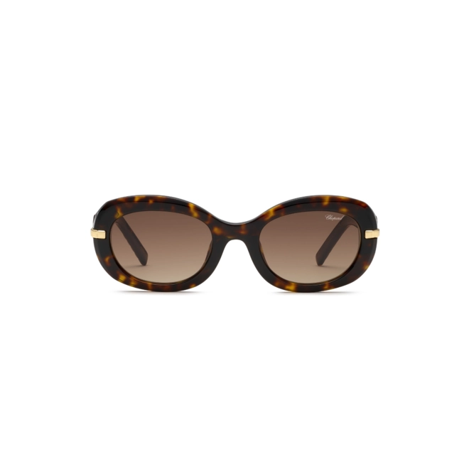 Óculos de Sol Chopard Ice Cube SCH414M 5304BL Acetato Marrom Mesclado com lentes na cor Marrom Degradê 2