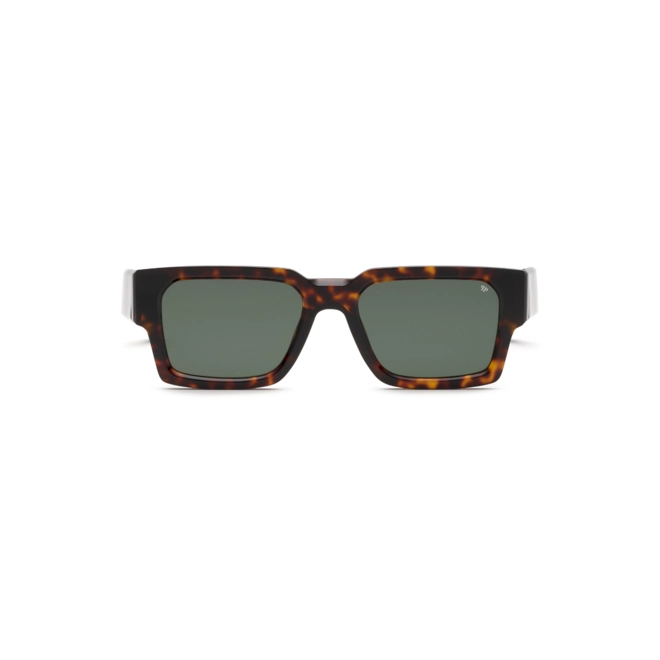 Óculos de Sol Philipp Plein SPP183M 540743 Acetato Marrom Mesclado com lentes na cor Verde 2