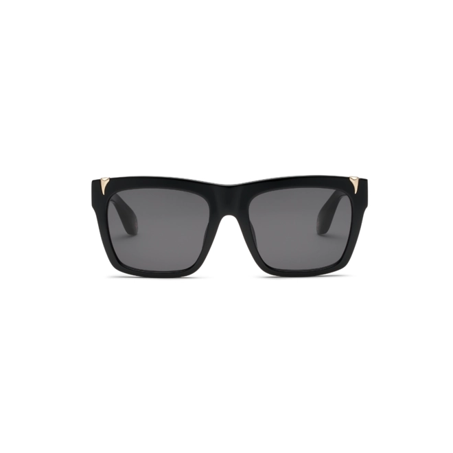 Óculos de Sol Roberto Cavalli SRC126V 55700Y Acetato Preto com lentes na cor Fumê 2