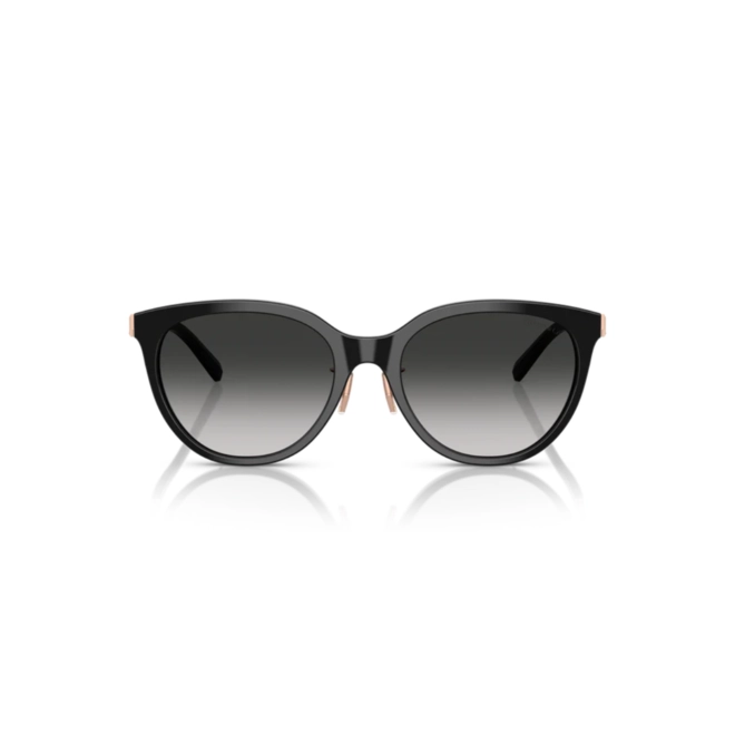 Óculos de Sol Tiffany 0TF4243D 80013C55 Acetato Preto e Rose com lentes na cor Cinza Degradê 2