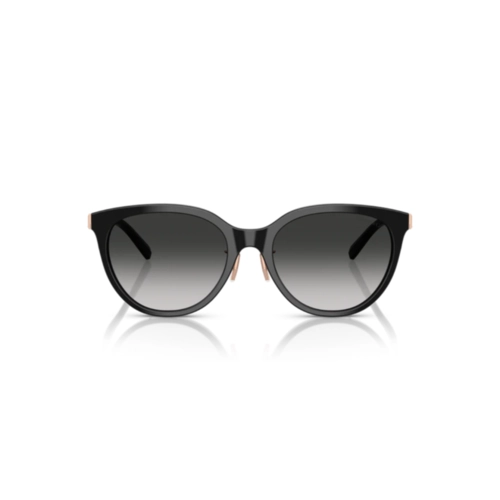 Óculos de Sol Tiffany 0TF4243D 80013C55 Acetato Preto e Rose com lentes na cor Cinza Degradê