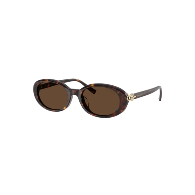Óculos de Sol Tiffany 0TF4242D 80153G54 Acetato Marrom Mesclado com lentes na cor Marrom Claro 1
