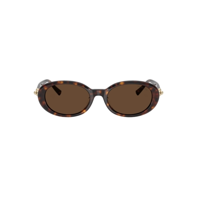 Óculos de Sol Tiffany 0TF4242D 80153G54 Acetato Marrom Mesclado com lentes na cor Marrom Claro 2