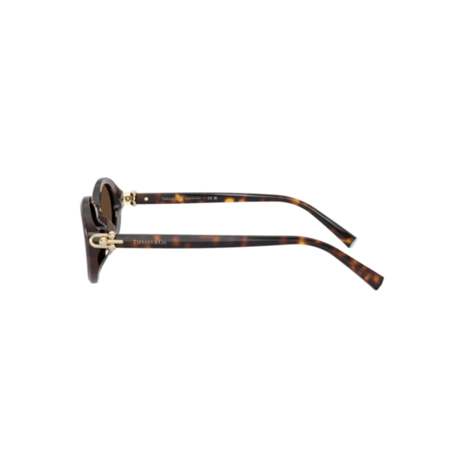 Óculos de Sol Tiffany 0TF4242D 80153G54 Acetato Marrom Mesclado com lentes na cor Marrom Claro 3