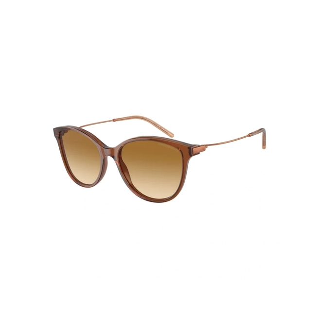 Óculos de Sol Emporio Armani 0EA4220 61103B54 Acetato Marrom Transparente com lentes na cor Marrom Degradê 1
