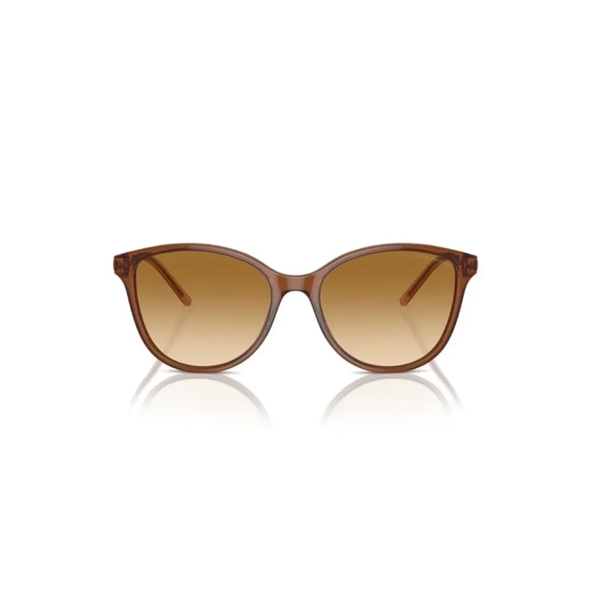 Óculos de Sol Emporio Armani 0EA4220 61103B54 Acetato Marrom Transparente com lentes na cor Marrom Degradê 2