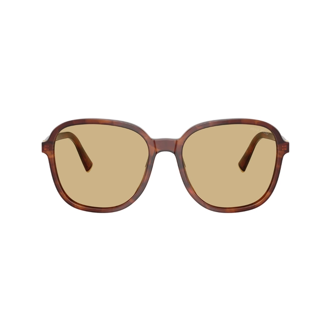 Óculos de Sol Miu Miu 0MU B01S 26E10R58 Acetato Marrom Mesclado com lentes na cor Amarelo 2