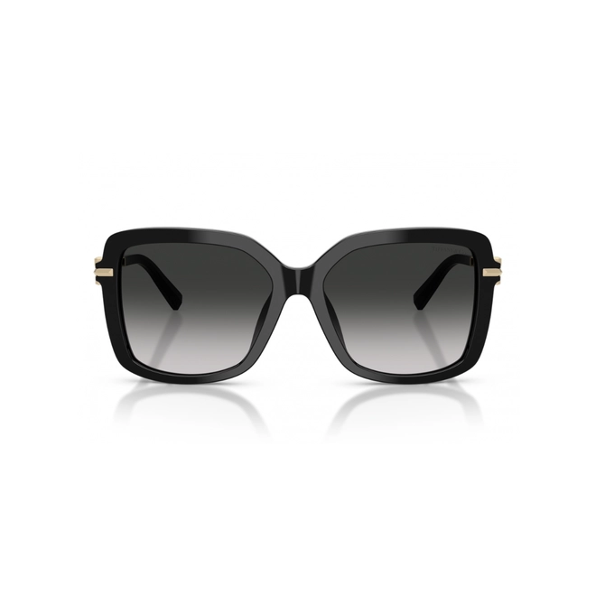 Óculos de Sol Tiffany 0TF4252B 80013C55 Acetato Preto com lentes na cor Cinza Degradê 2