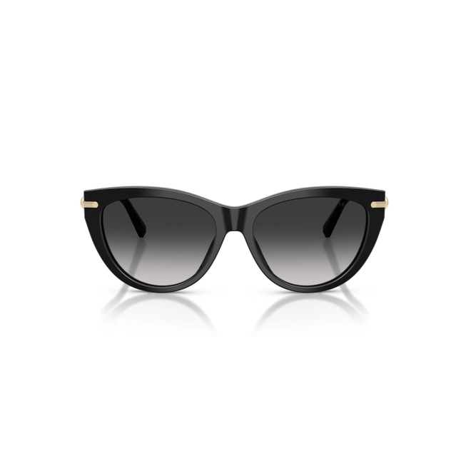 Óculos de Sol Tiffany 0TF4253 80013C55 Acetato Preto com lentes na cor Cinza Degradê 2