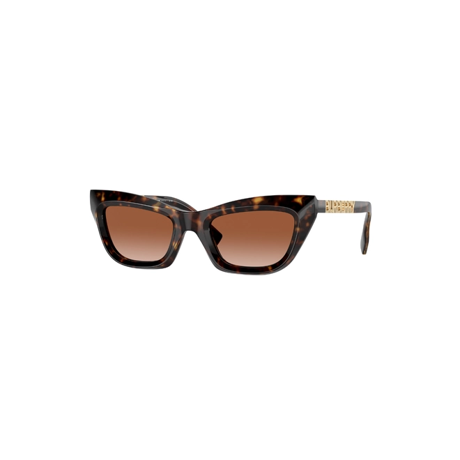 Óculos de Sol Burberry 0BE4409 30021351 Acetato Marrom Mesclado com lentes na cor Marrom Degradê 1