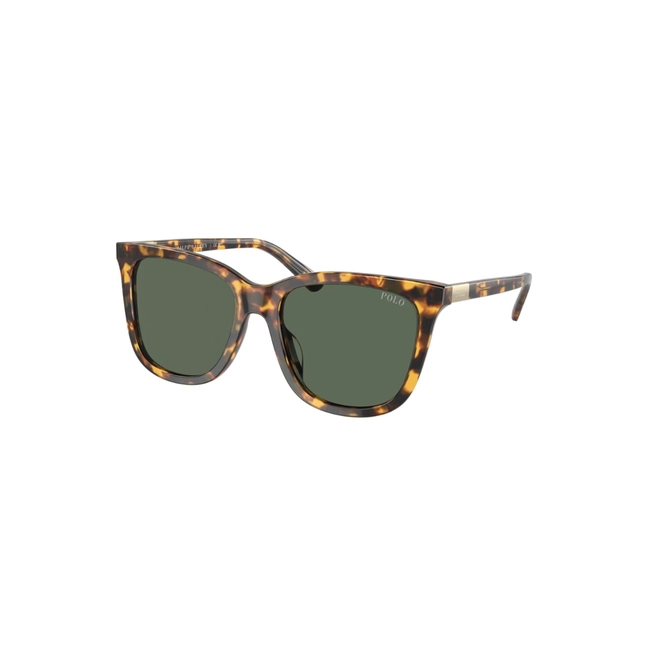 Óculos de Sol Polo Ralph Lauren 0PH4201U 60787155 Acetato Marrom Mesclado com lentes na cor Verde 1