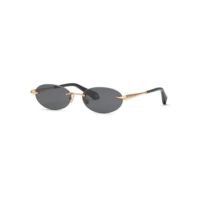Óculos de Sol Roberto Cavalli SRC152M 550300 Metal Dourado com lentes na cor Cinza 1