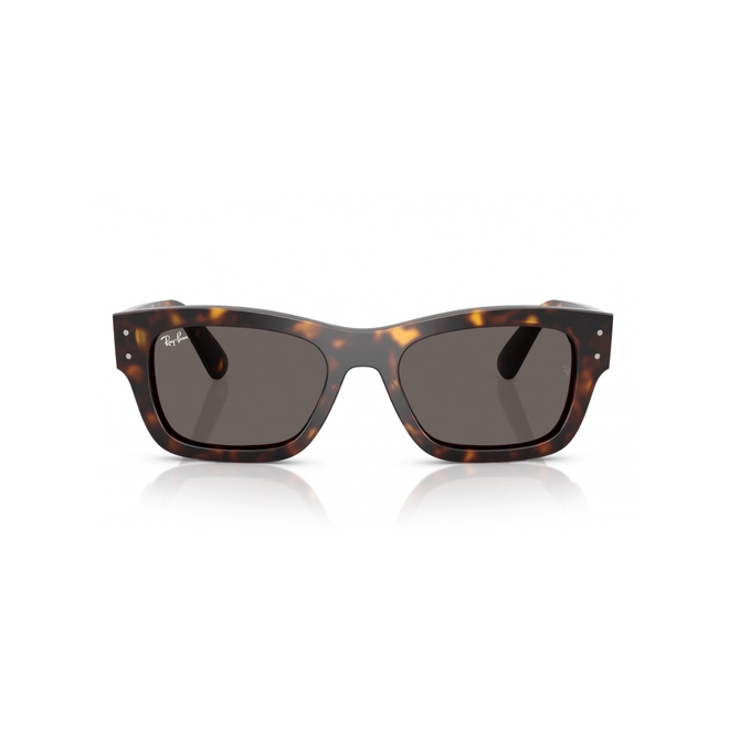 Óculos de Sol Ray-Ban Joseph 0RB7683S 902/B155 Acetato Marrom Mesclado Polido com lentes na cor Cinza 2