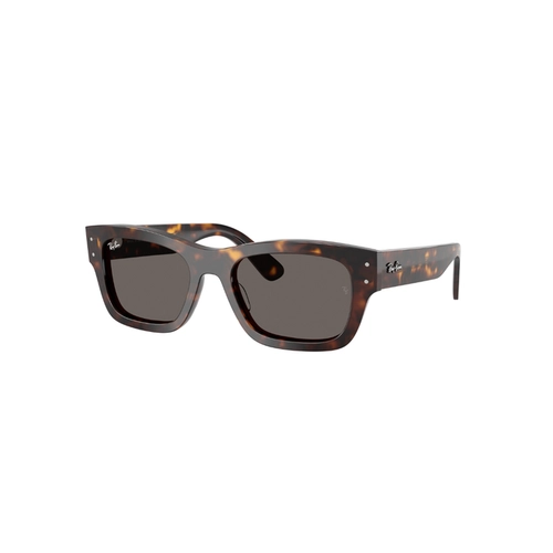 Óculos de Sol Ray-Ban Joseph 0RB7683S 902/B155 Acetato Marrom Mesclado Polido com lentes na cor Cinza
