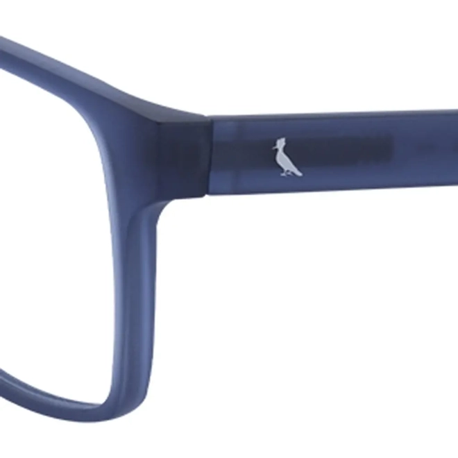 Óculos de Grau Reserva RSV2611 414 55 Acetato Azul 4