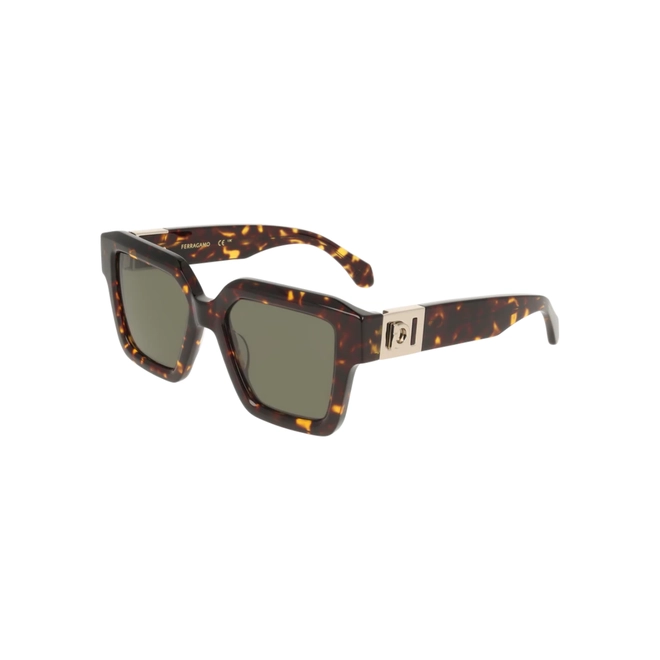 Óculos de Sol Salvatore Ferragamo SF2084S 242 53 Acetato Marrom Mesclado com lentes na cor Fumê 1