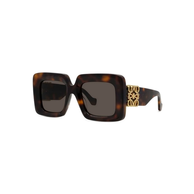 Óculos de Sol Loewe LW40176U_5152E Acetato Marrom Mesclado com lentes na cor Marrom 1