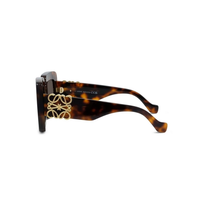 Óculos de Sol Loewe LW40176U_5152E Acetato Marrom Mesclado com lentes na cor Marrom 4