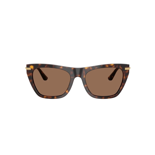 Óculos de Sol Dolce & Gabbana 0DG4511 502/7355 Acetato Marrom Mesclado com lentes na cor Marrom Escuro 2