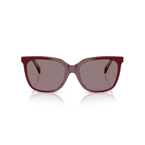 Óculos de Sol Ralph 0RA5343U 62997N55 Acetato Bordô com lentes na cor Violeta