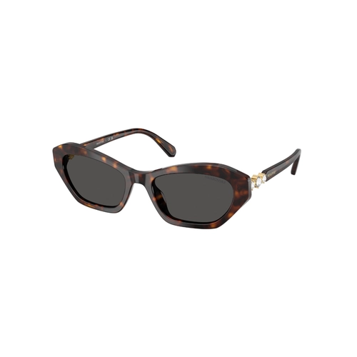 Óculos de Sol Swarovski 0SK6048 10028754 Acetato Marrom Mesclado com lentes na cor Cinza