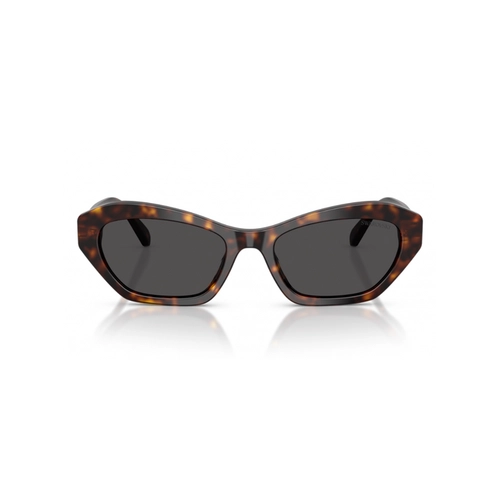 Óculos de Sol Swarovski 0SK6048 10028754 Acetato Marrom Mesclado com lentes na cor Cinza