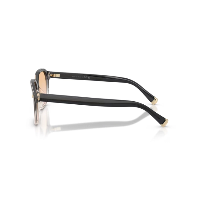 Óculos de Sol Brunello Cucinelli 0BC3015 1029 53 Acetato Preto Degradê com lentes na cor Amarelo Degradê 3