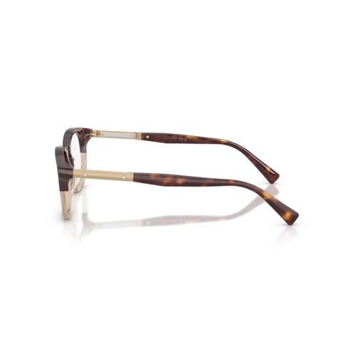 Óculos de Grau Brunello Cucinelli 0BC3019 1055 49 Acetato Marrom Mesclado