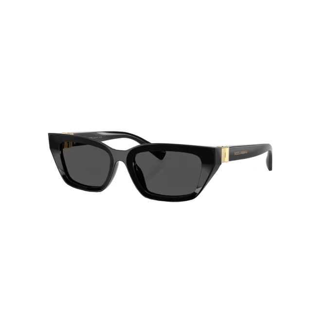 Óculos de Sol Dolce & Gabbana 0DG4532 501/8753 Acetato Preto com lentes na cor Cinza Escuro 1