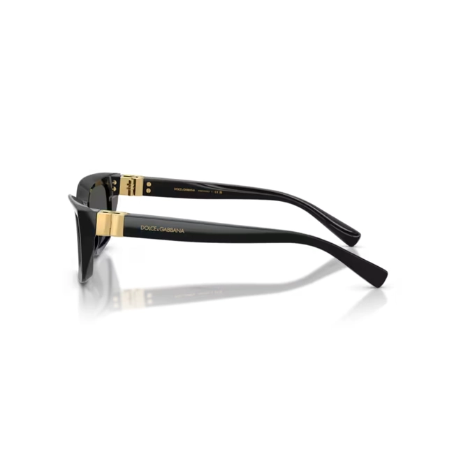 Óculos de Sol Dolce & Gabbana 0DG4532 501/8753 Acetato Preto com lentes na cor Cinza Escuro 3
