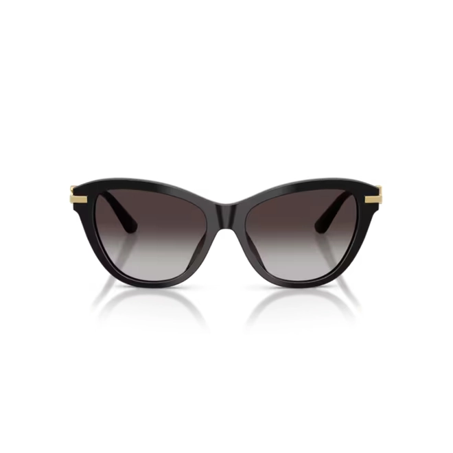 Óculos de Sol Dolce & Gabbana 0DG4534 501/8G53 Acetato Preto com lentes na cor Cinza Escuro Degradê 2