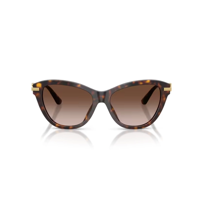 Óculos de Sol Dolce & Gabbana 0DG4534 502/1353 Acetato Marrom Mesclado com lentes na cor Marrom Degradê 2
